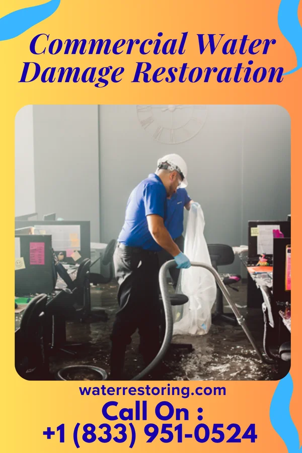 Commercial Water Damage Restoration in North Port, FL